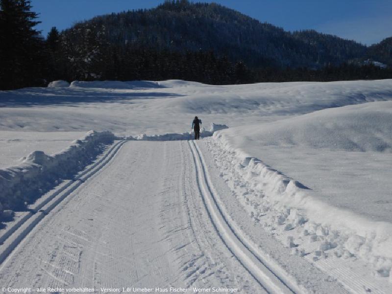 Blick auf eine der Langlaufloipen am Weissensee im Winter mit einem Langläufer.